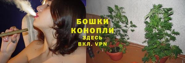 мяу мяу мука Нефтекумск