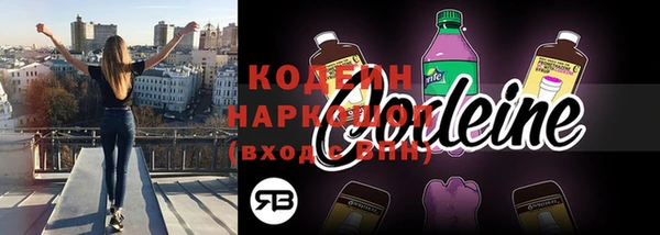 хмурый Гусь-Хрустальный