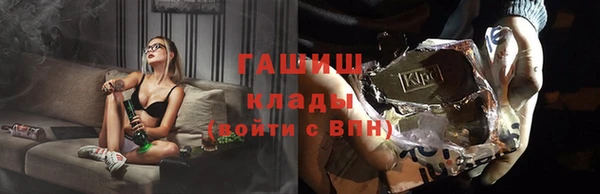 хмурый Гусь-Хрустальный