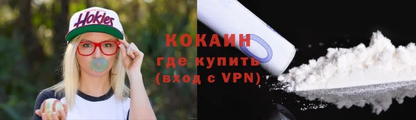 хмурый Гусь-Хрустальный
