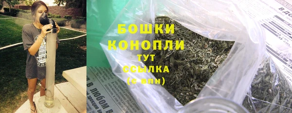 ГАЛЛЮЦИНОГЕННЫЕ ГРИБЫ Гусев