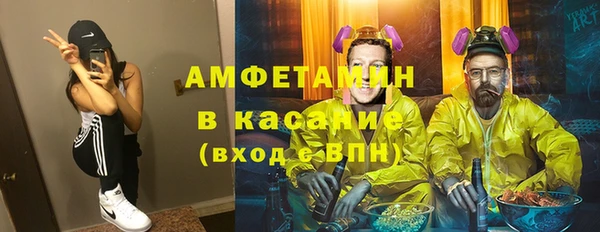 ГАЛЛЮЦИНОГЕННЫЕ ГРИБЫ Гусев