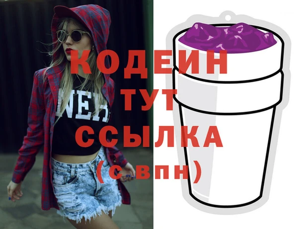 ГАЛЛЮЦИНОГЕННЫЕ ГРИБЫ Гусев