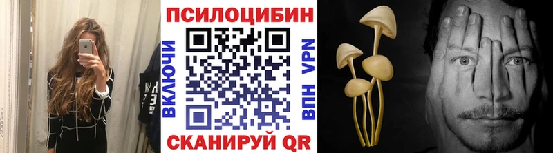 Галлюциногенные грибы Magic Shrooms  Зеленогорск 
